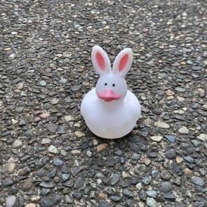 Meet your Posher, Joshua